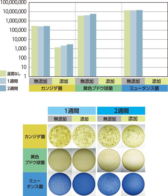 図2 ティッシュコンディショナー添加による付着菌数の変化とコロニー像（1週間及び2週間）